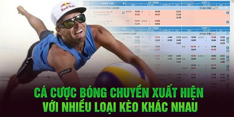 Cá cược bóng chuyền xuất hiện với nhiều loại kèo khác nhau