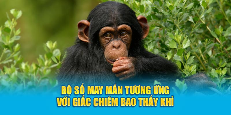 Bộ số may mắn tương ứng với giấc chiêm bao thấy khỉ