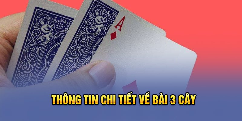 Thông tin chi tiết về bài 3 cây