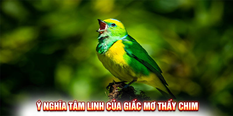 Giải Mã Giấc Mơ Thấy Chim Và Con Số May Mắn