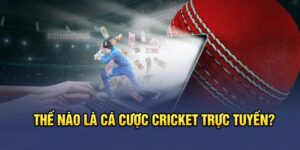 Thế nào là cá cược Cricket trực tuyến?