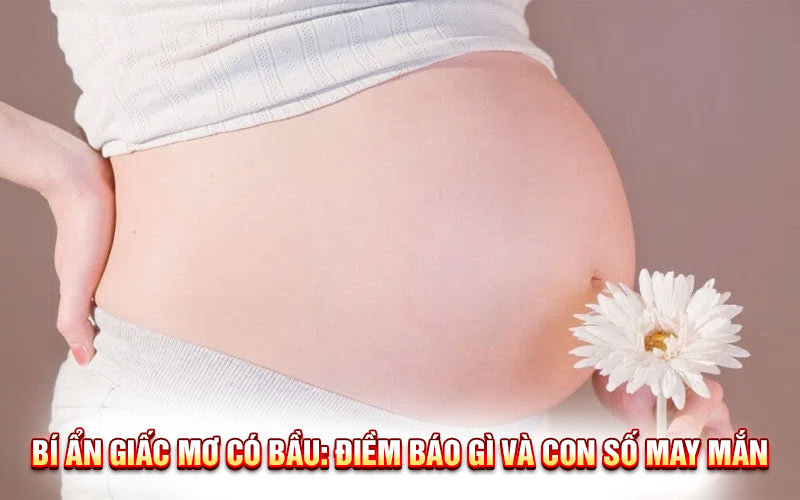 Bí Ẩn Giấc Mơ Có Bầu: Điềm Báo Gì Và Con Số May Mắn